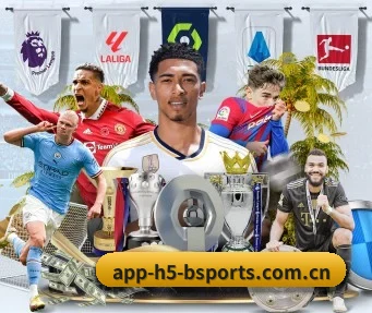 www.app-h5-bsports.com.cn APP