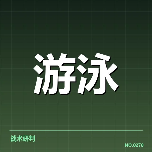 新星选手成绩与比赛安排